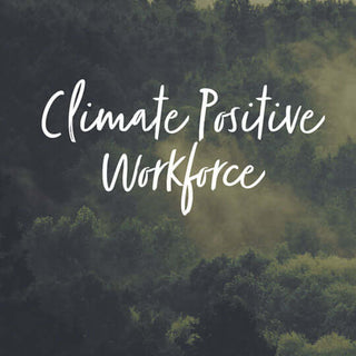 Climate Positive Workforce with Ecologi with image with trees in the mist