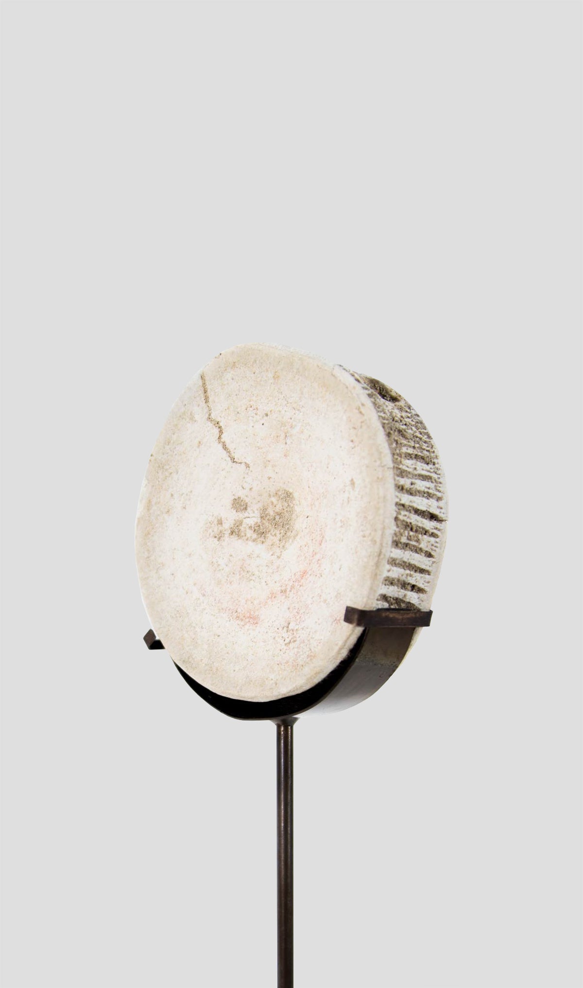 Otodus Obliquus Fossil Vertebra In Bronze Stand 298mm