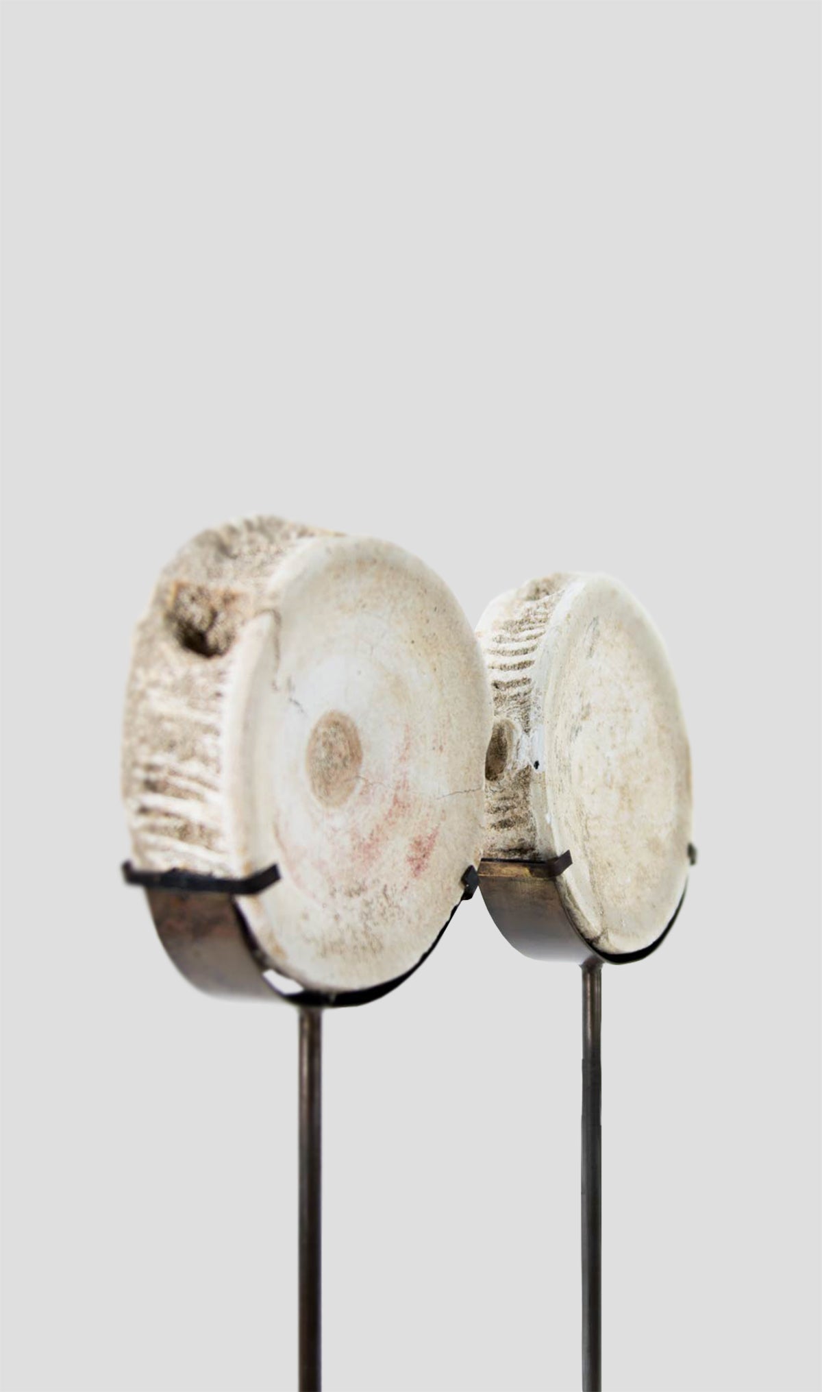 Otodus Obliquus Fossil Vertebra In Bronze Stand 277mm