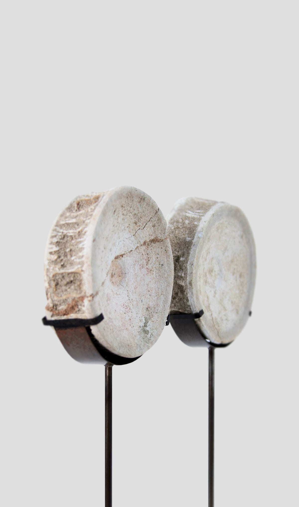 Otodus Obliquus Fossil Vertebra In Bronze Stand 278mm