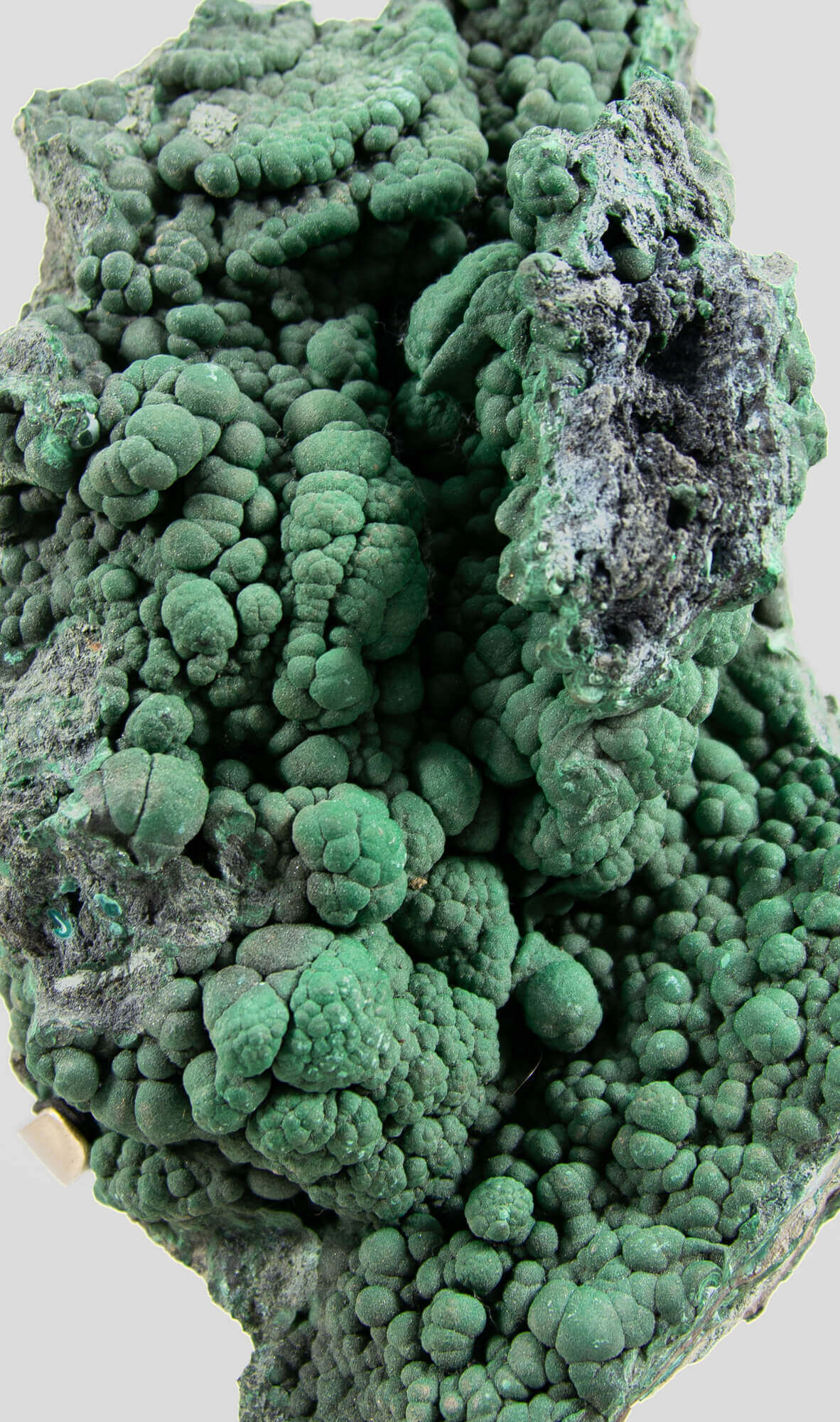 RARE Authentic Congo Natural Malachite in Brass Stand 2