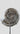 A rare British museum fossil Hildoceras ammonite for sale on bronze stand 10