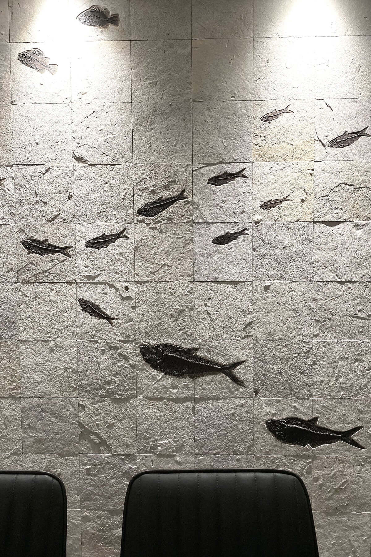 Scientifically significantly fossil fish tiled wall series for luxury wall spaces