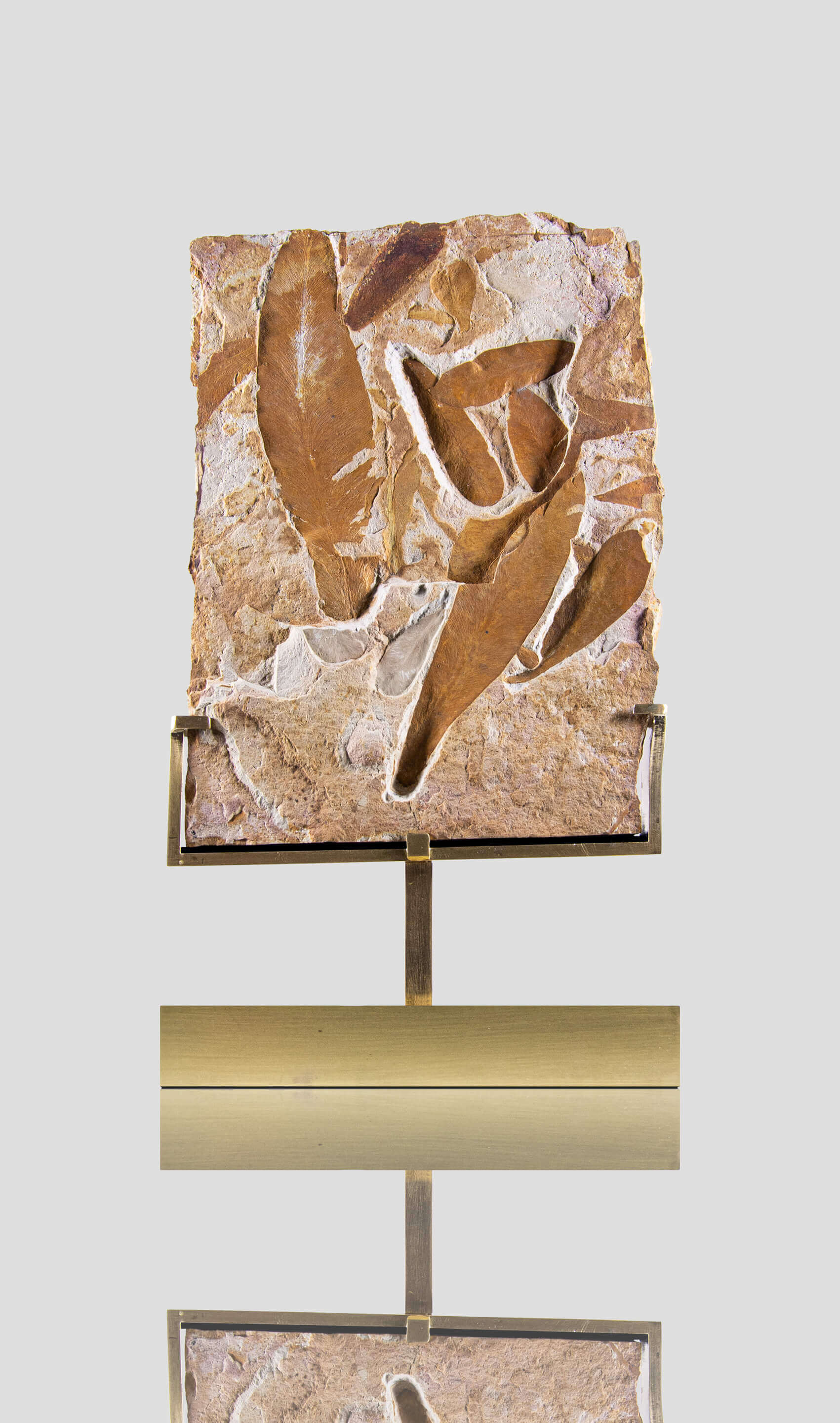 An American flor leaf fossil plate presented on a beautiful brass stand for fossil interior display 10