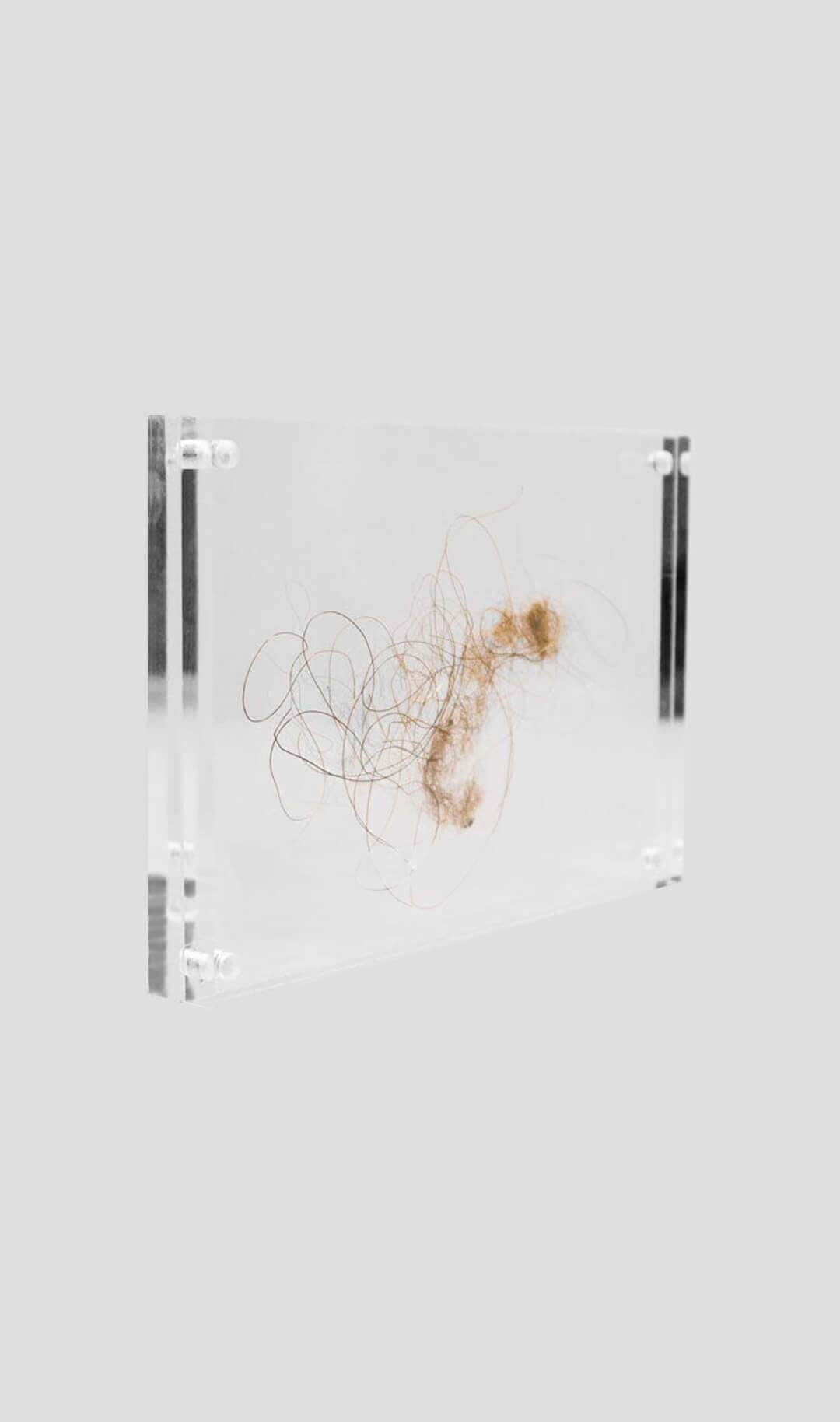 mammoth hair for sale in acrylic display 22