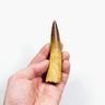 fossil dinosaur spinosaurus tooth for sale at the uk fossil store 107