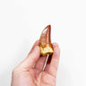 real fossil dinosaur carcharodontosaurus tooth for sale at the uk fossil store 37
