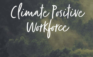 Climate Positive Workforce with Ecologi with image with trees in the mist