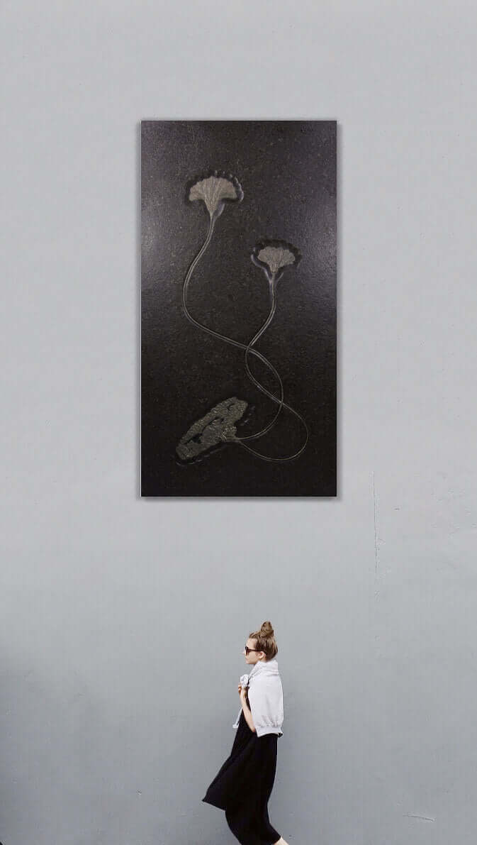 Museum-quality fossil Holzmaden lily for sale by THE FOSSIL STORE for interior fossil wall display