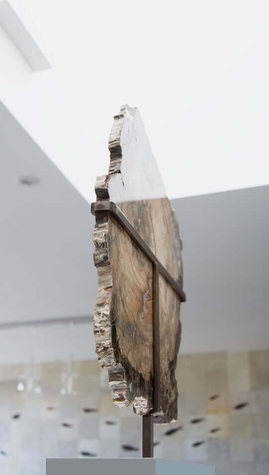 Museum-quality petrified wood for sale by THE FOSSIL STORE for interior petrified wood display