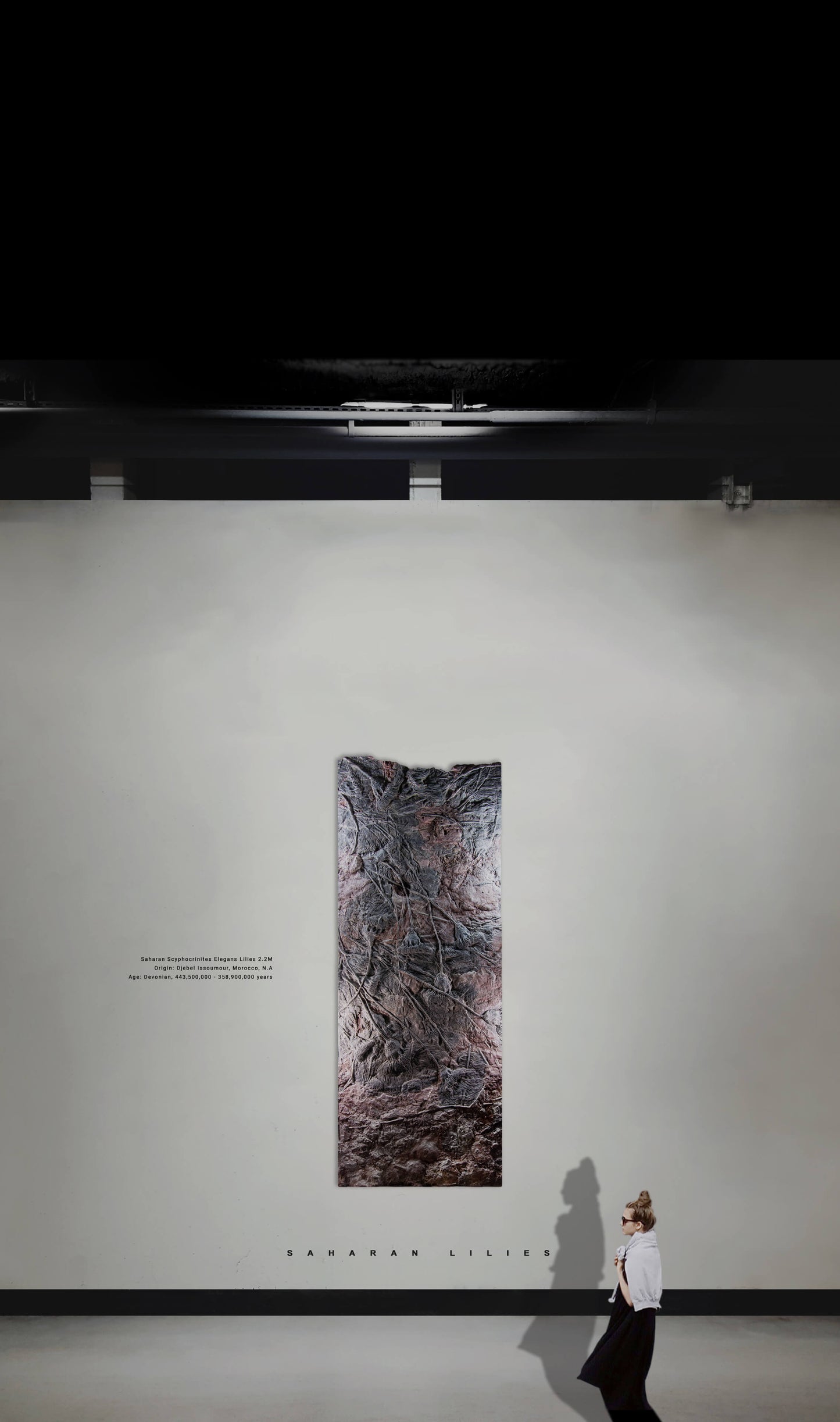 ELEGANS-wall©