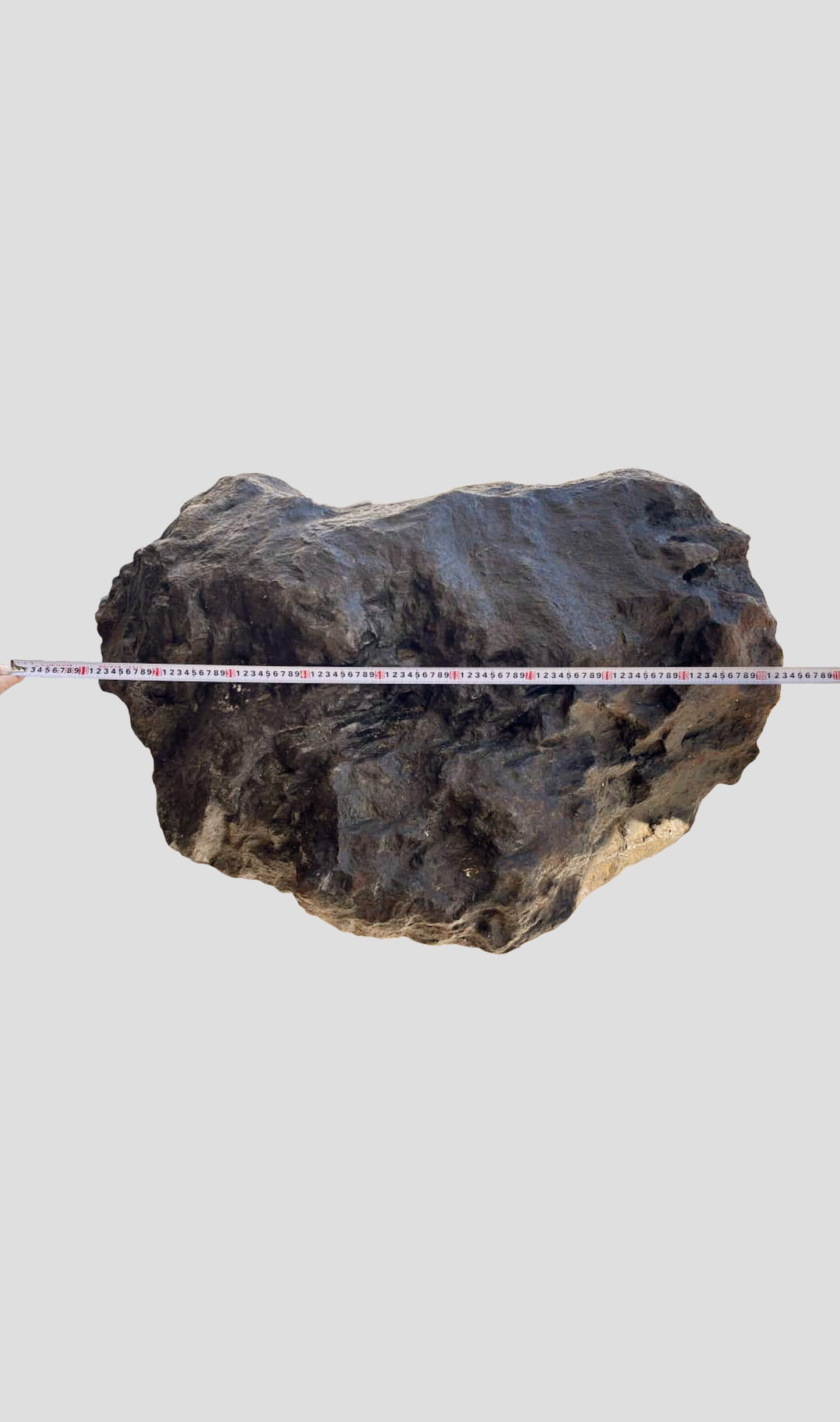 Aletai Meteorite [IIIE-an]