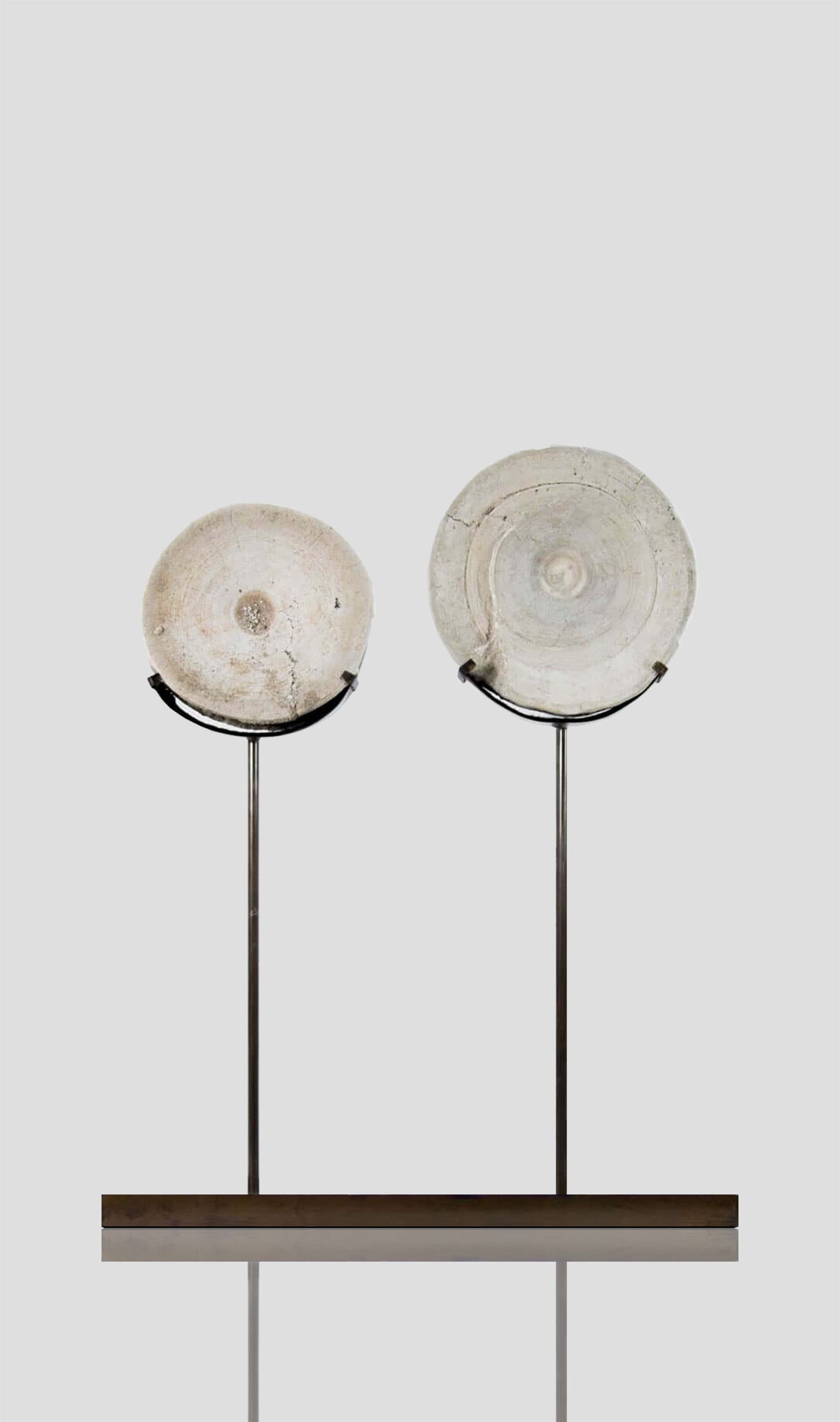Otodus Obliquus Fossil Vertebra In Bronze Stand 308mm