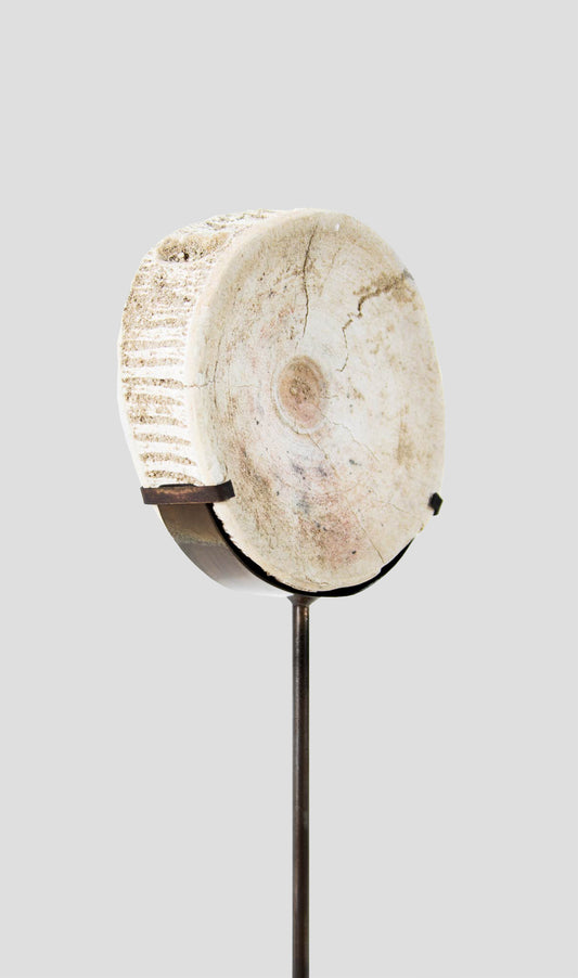 Otodus Obliquus Fossil Vertebra In Bronze Stand 298mm