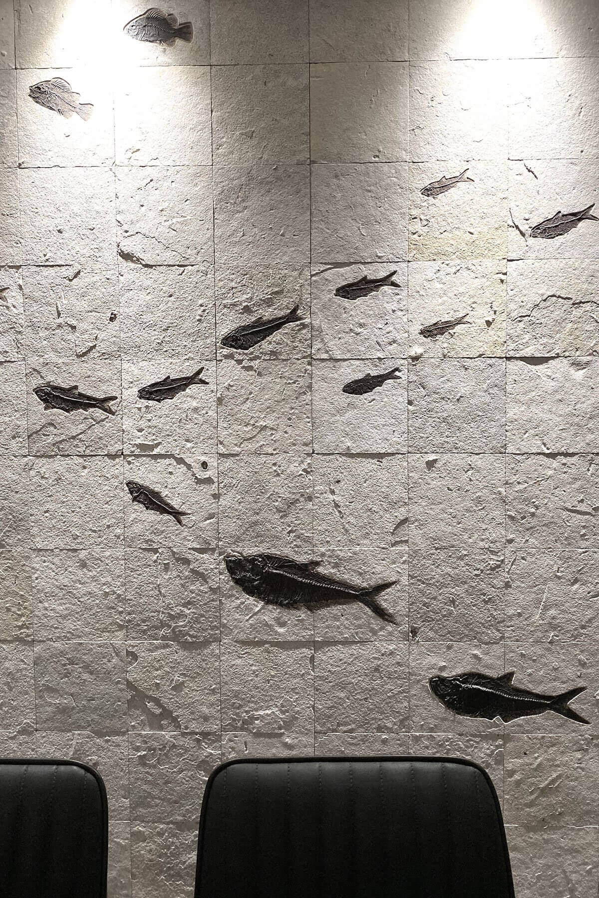 GARwall© Fossil Fish Tiled Gallery Feature Wall with intricate fish designs and natural stone texture.