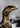 طباعة BRWA™ Art Dromaeosaur Raptor للديناصورات