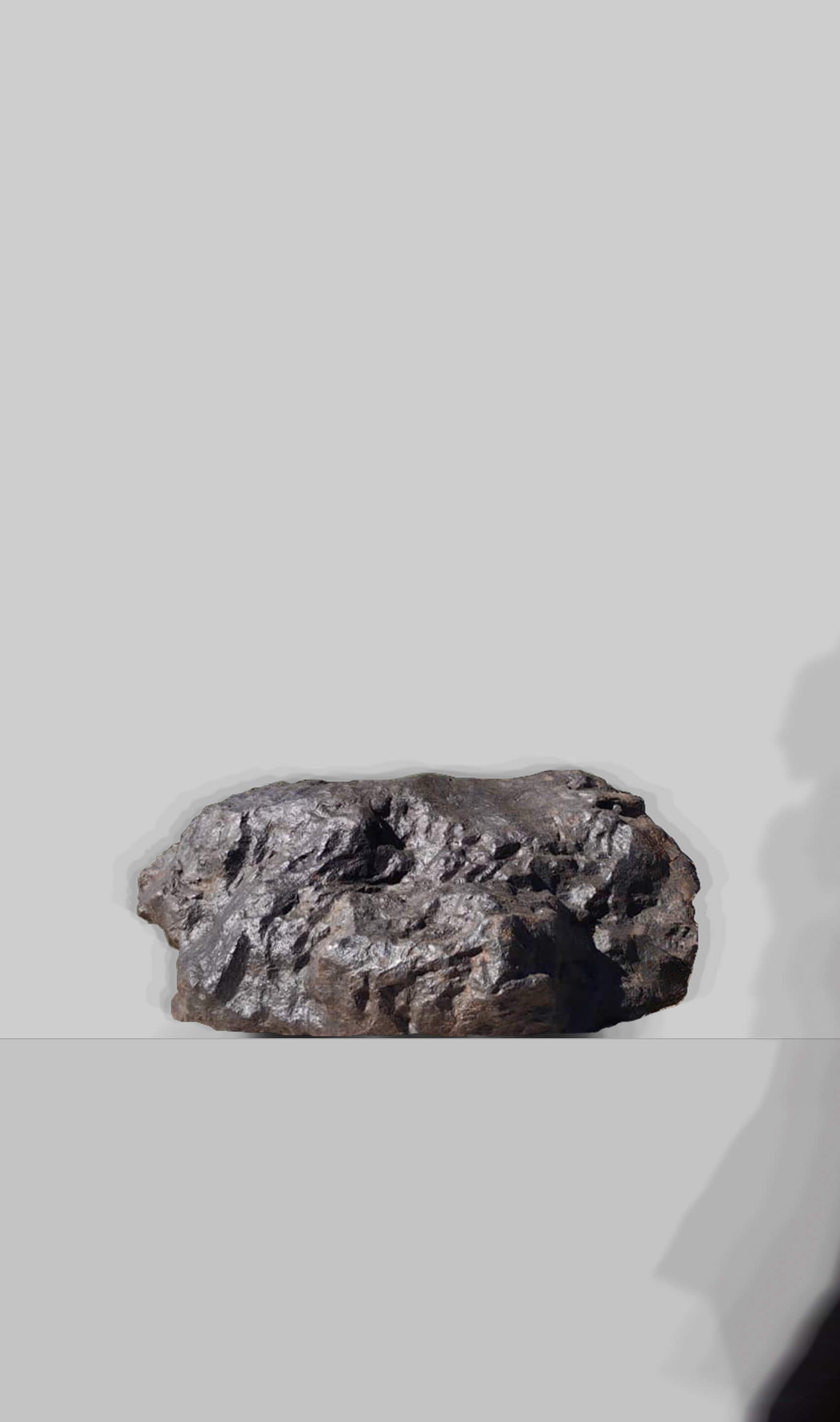 Aletai Meteorite [IIIE-an]
