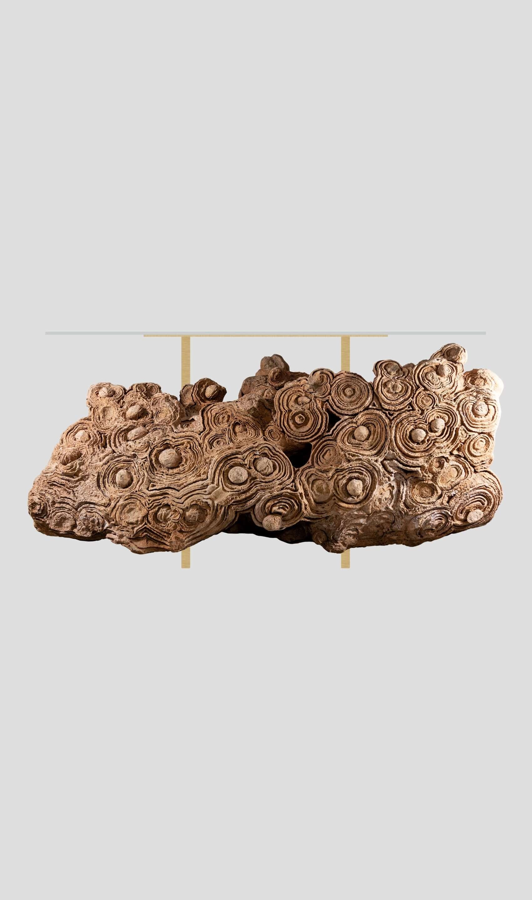 Desert Rosette Crystal Formation displayed on a gold aluminum table, showcasing intricate, natural patterns and artistry.