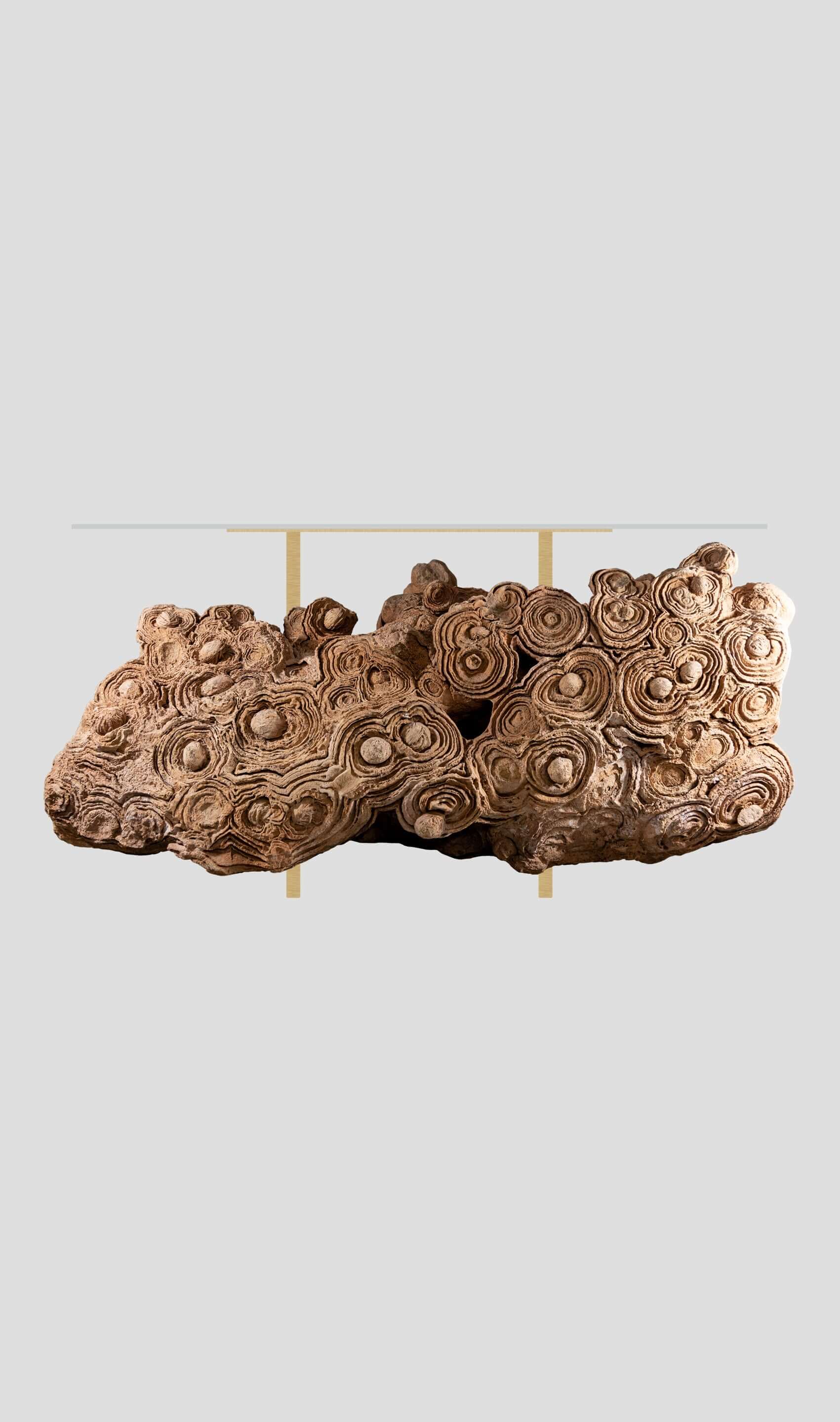 Desert Rosette Crystal Formation displayed on a gold aluminum table, showcasing intricate, natural patterns and artistry.