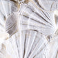 Lattissima Pecten Shell Slab جدار ميزة 700 مم [نادر]