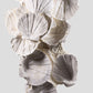Lattissima Pecten Shell Slab جدار ميزة 700 مم [نادر]