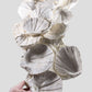 Lattissima Pecten Shell Slab جدار ميزة 700 مم [نادر]