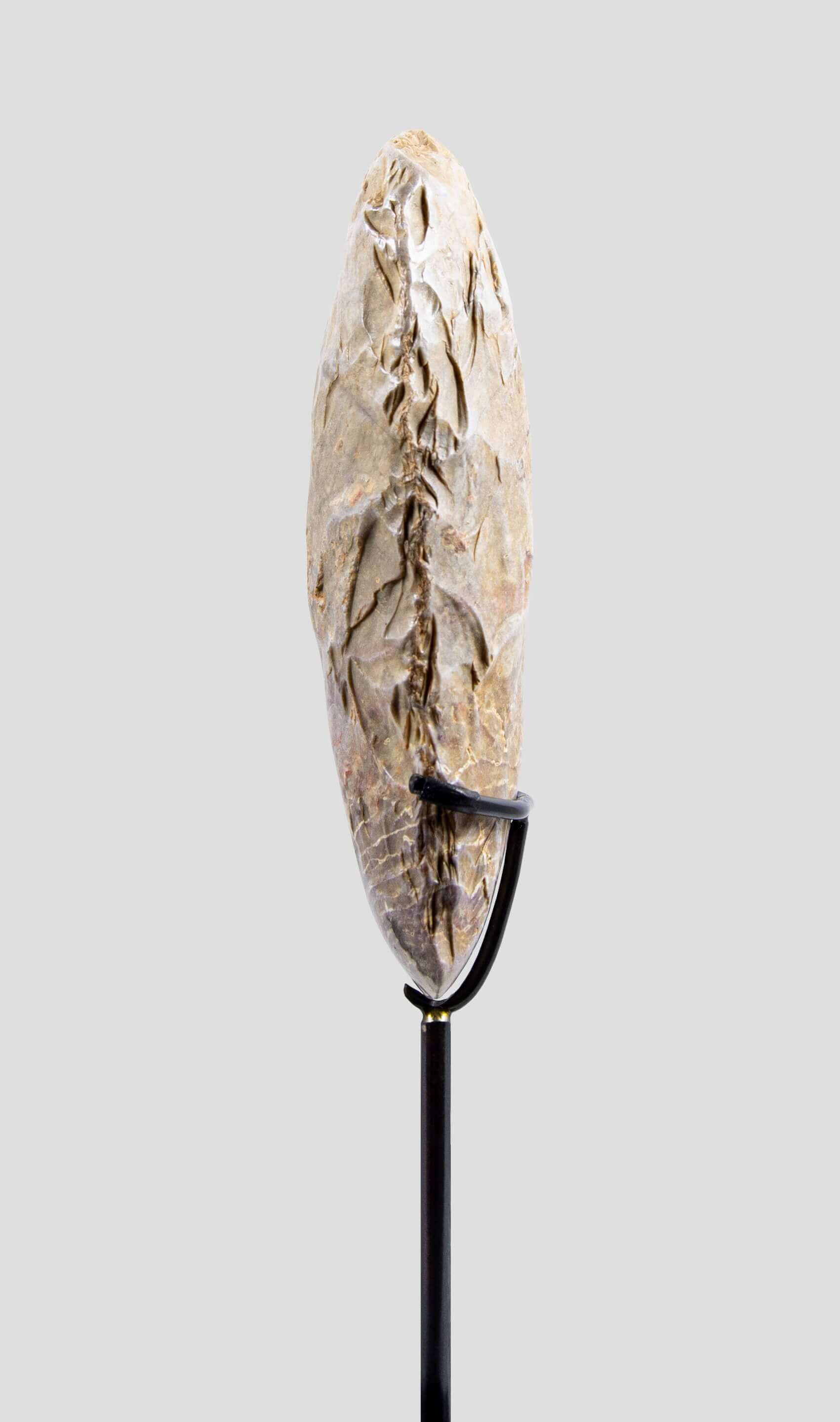 手工艺品新石器时代卡普西亚手斧 [8,500 BC] 136 毫米