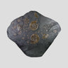 Holzmaden ammonite plate for sale 01