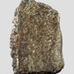 h5 meteorite fragment slice in The Fossil Store's copyrighted meteorite frame meteorite display