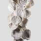 Lattissima Pecten Shell Slab جدار ميزة 700 مم [نادر]