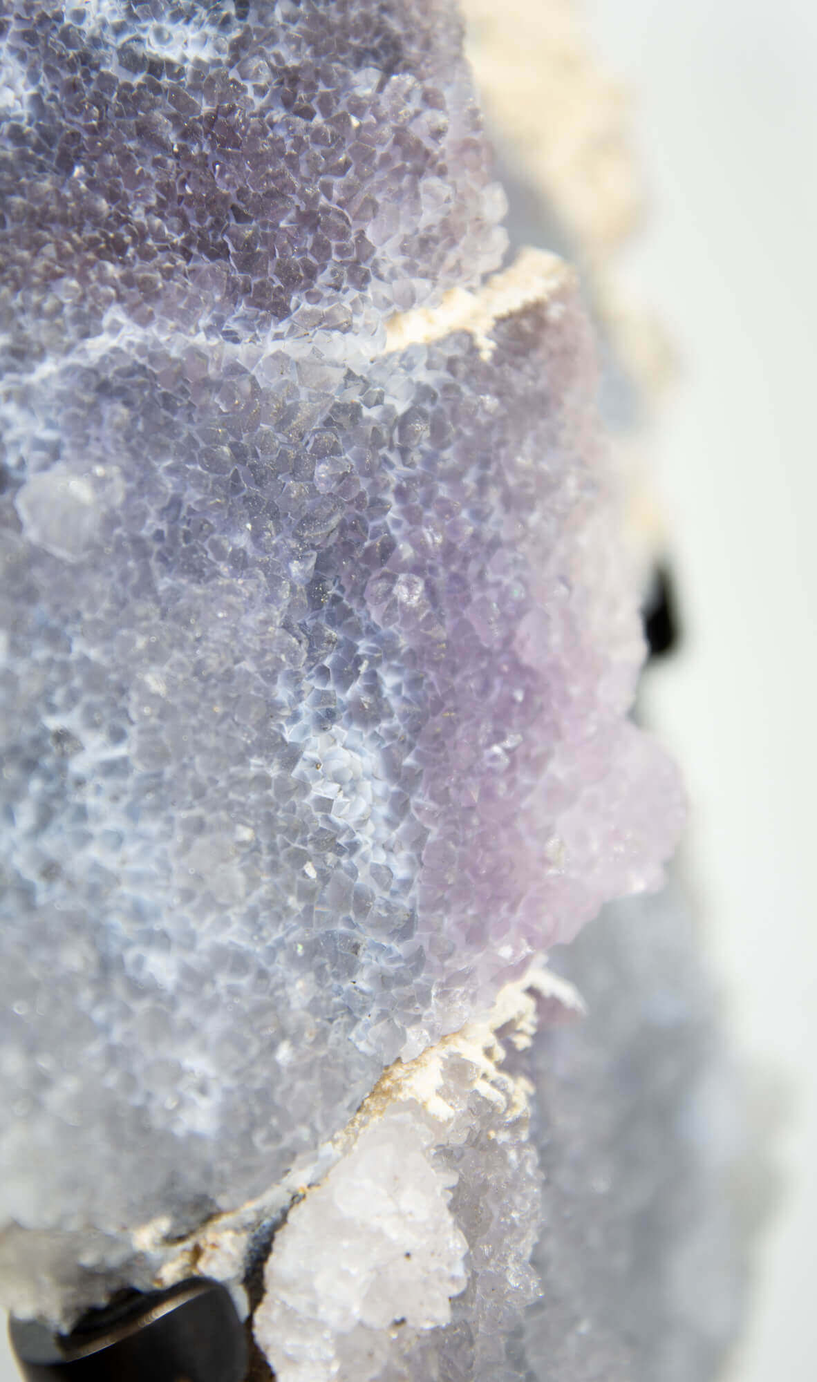 Shell amethyst presented on a lxury bronze stand contrasting the soft purple hues of the fine amethyst clusters within 10
