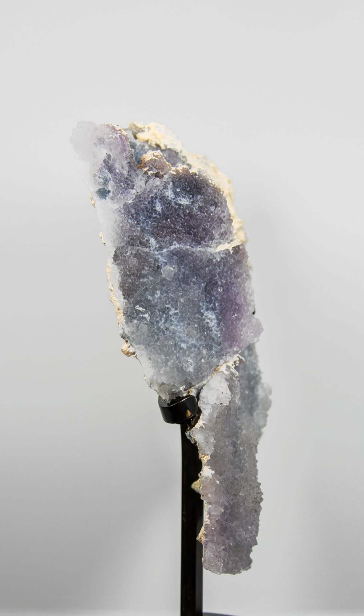 Shell amethyst presented on a lxury bronze stand contrasting the soft purple hues of the fine amethyst clusters within 3