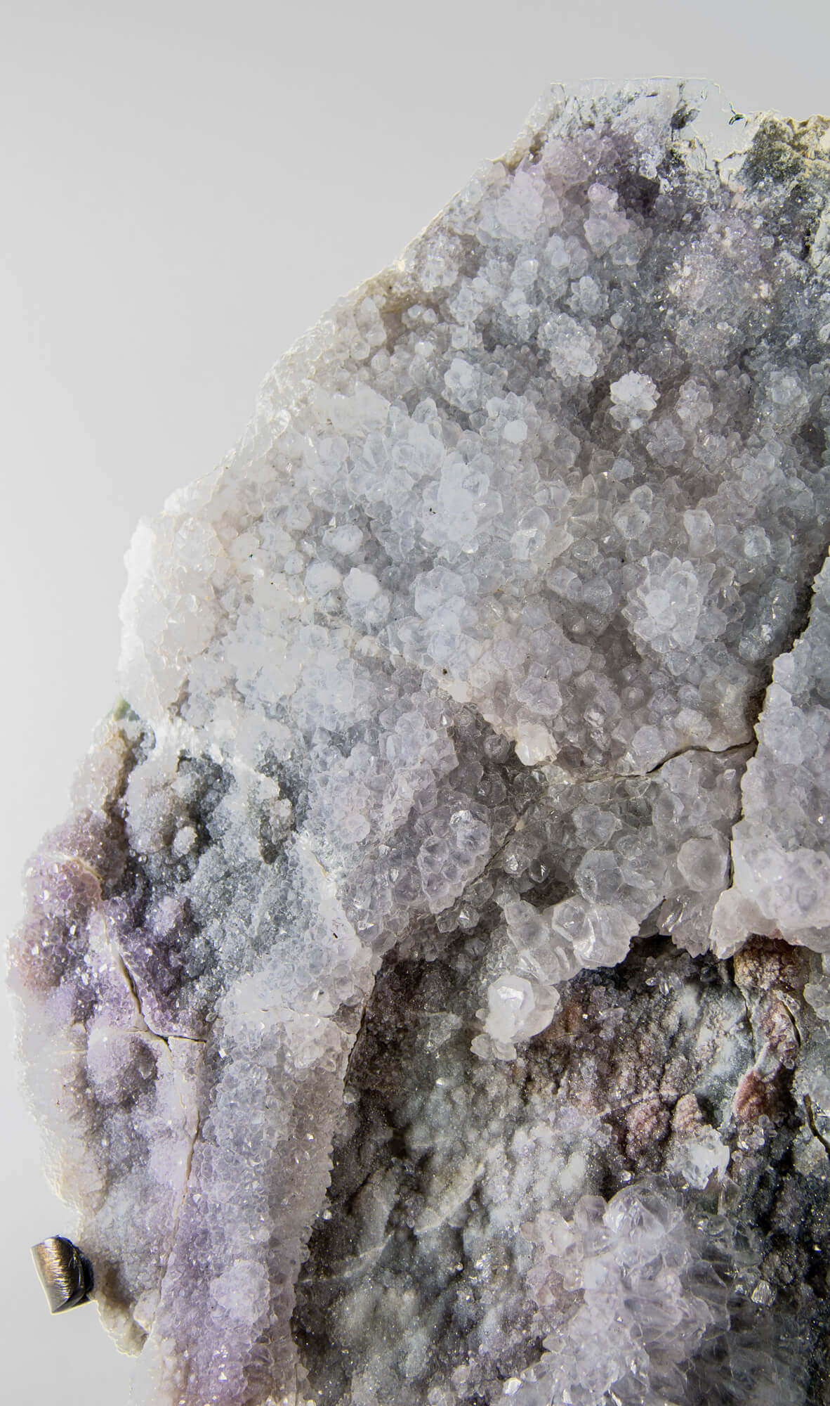 Shell amethyst presented on a lxury bronze stand contrasting the soft purple hues of the fine amethyst clusters within 19