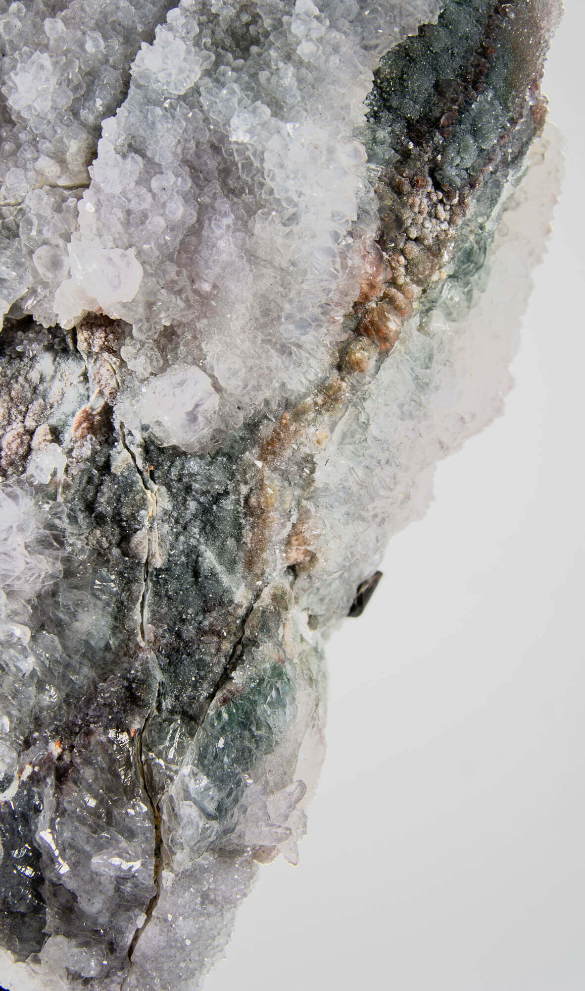 Shell amethyst presented on a lxury bronze stand contrasting the soft purple hues of the fine amethyst clusters within 20
