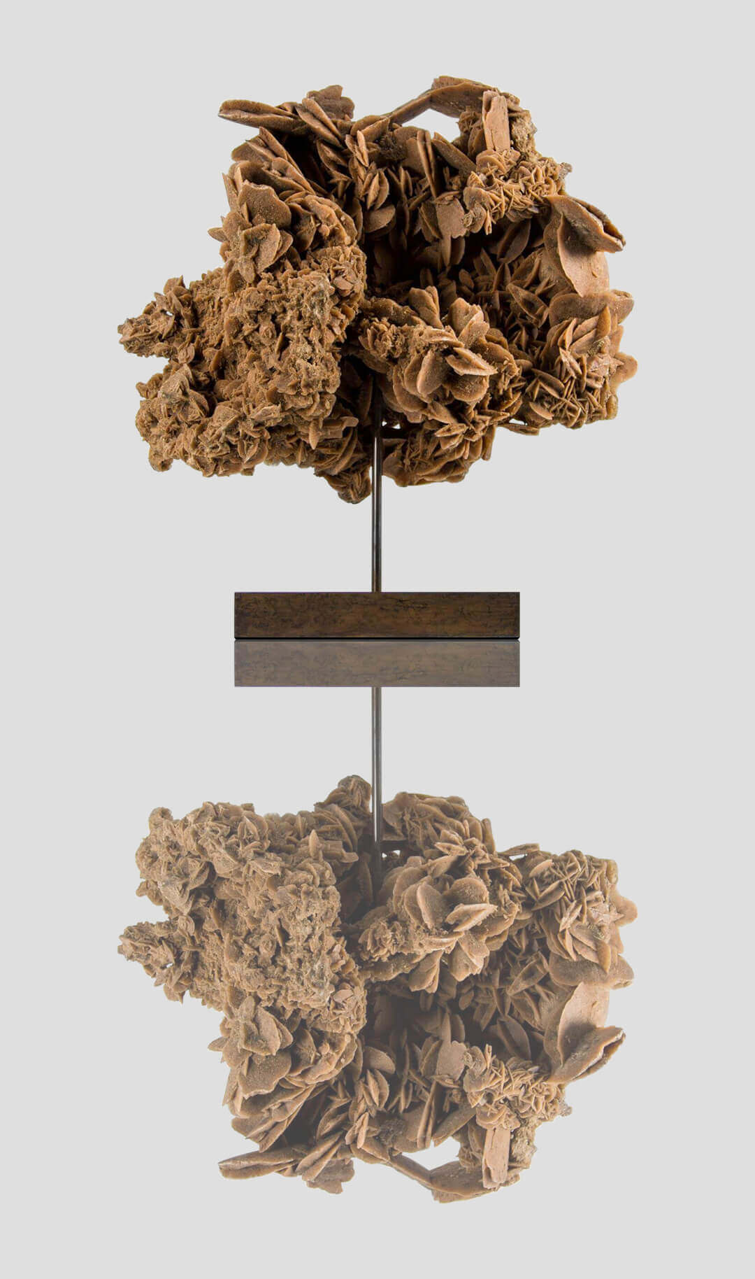 A medium sized desert rose on a cradled bronze stand in an art gallery