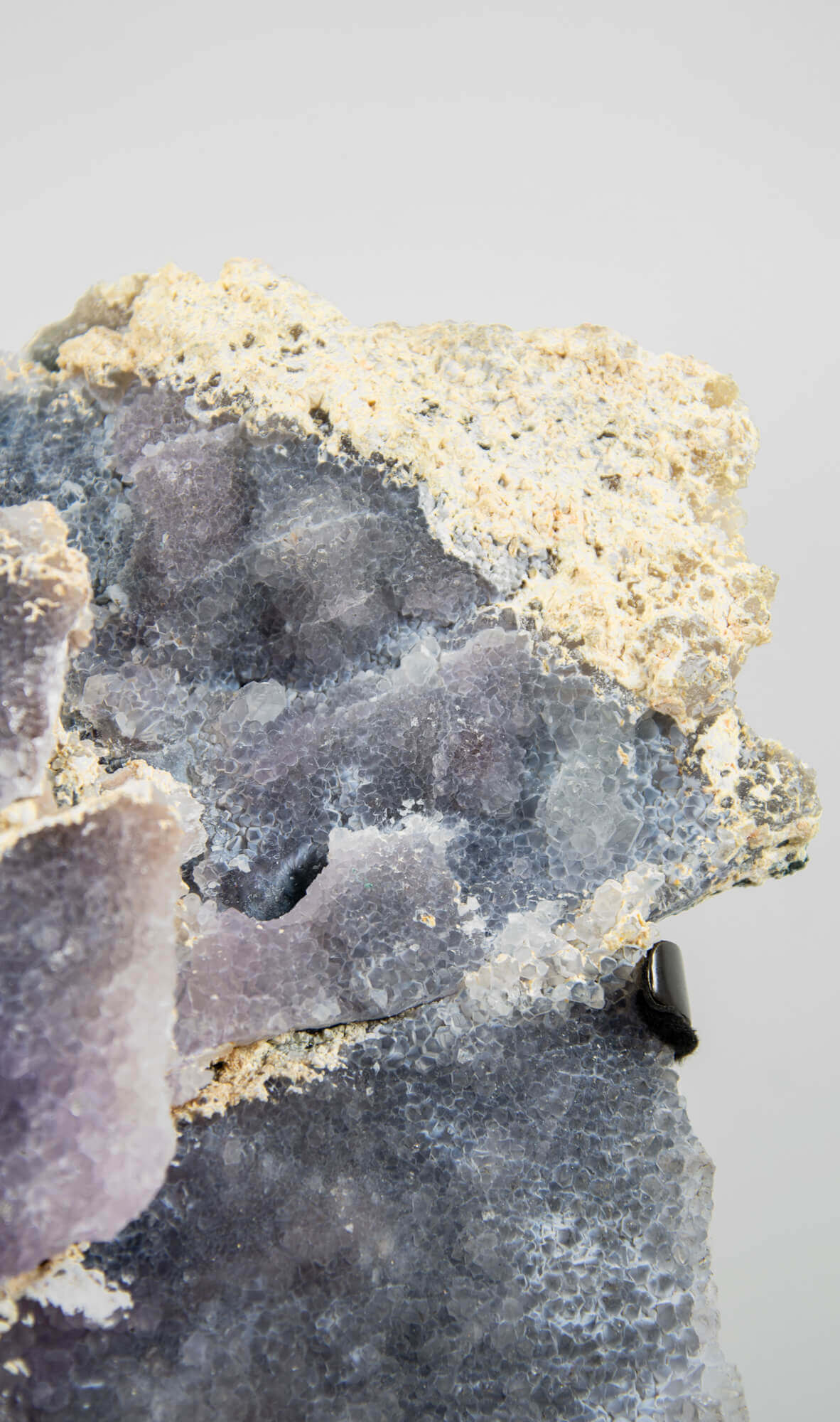 Shell amethyst presented on a lxury bronze stand contrasting the soft purple hues of the fine amethyst clusters within 6