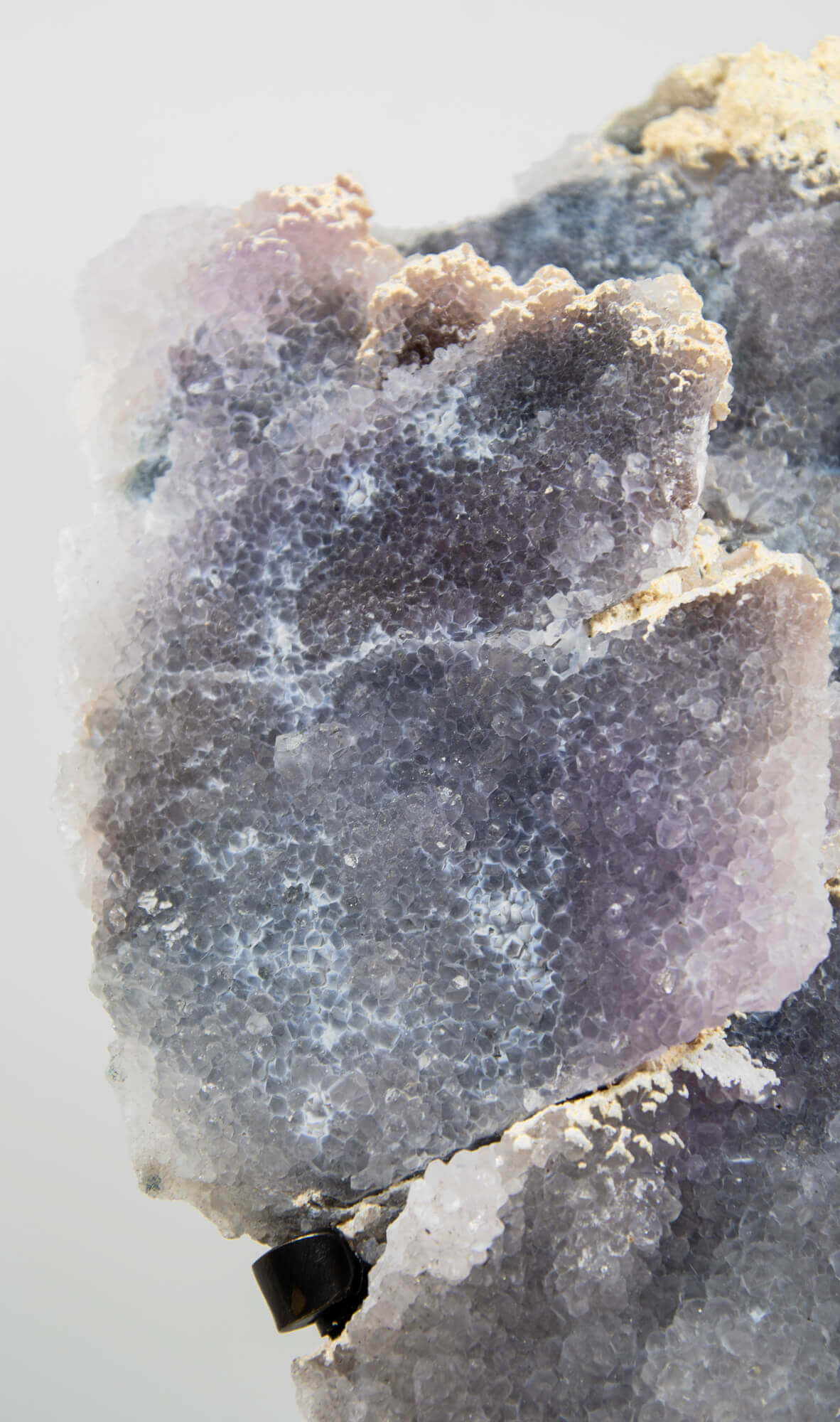 Shell amethyst presented on a lxury bronze stand contrasting the soft purple hues of the fine amethyst clusters within 8