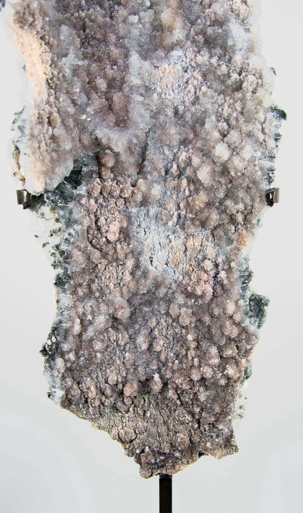 Shell amethyst presented on a lxury bronze stand contrasting the soft purple hues of the fine amethyst clusters within 24