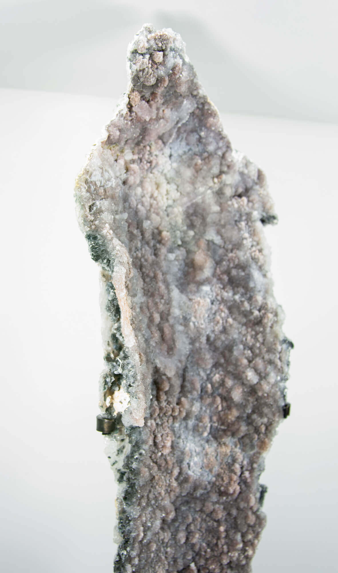Shell amethyst presented on a lxury bronze stand contrasting the soft purple hues of the fine amethyst clusters within 25
