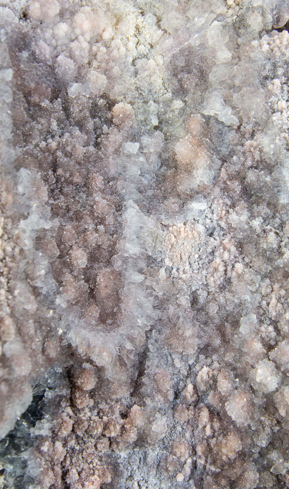 Shell amethyst presented on a lxury bronze stand contrasting the soft purple hues of the fine amethyst clusters within 27