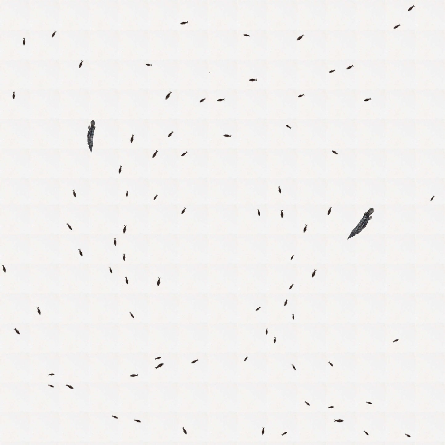 Abstract image of scattered fossil fish tiles on a white background, showcasing intricate detailing.