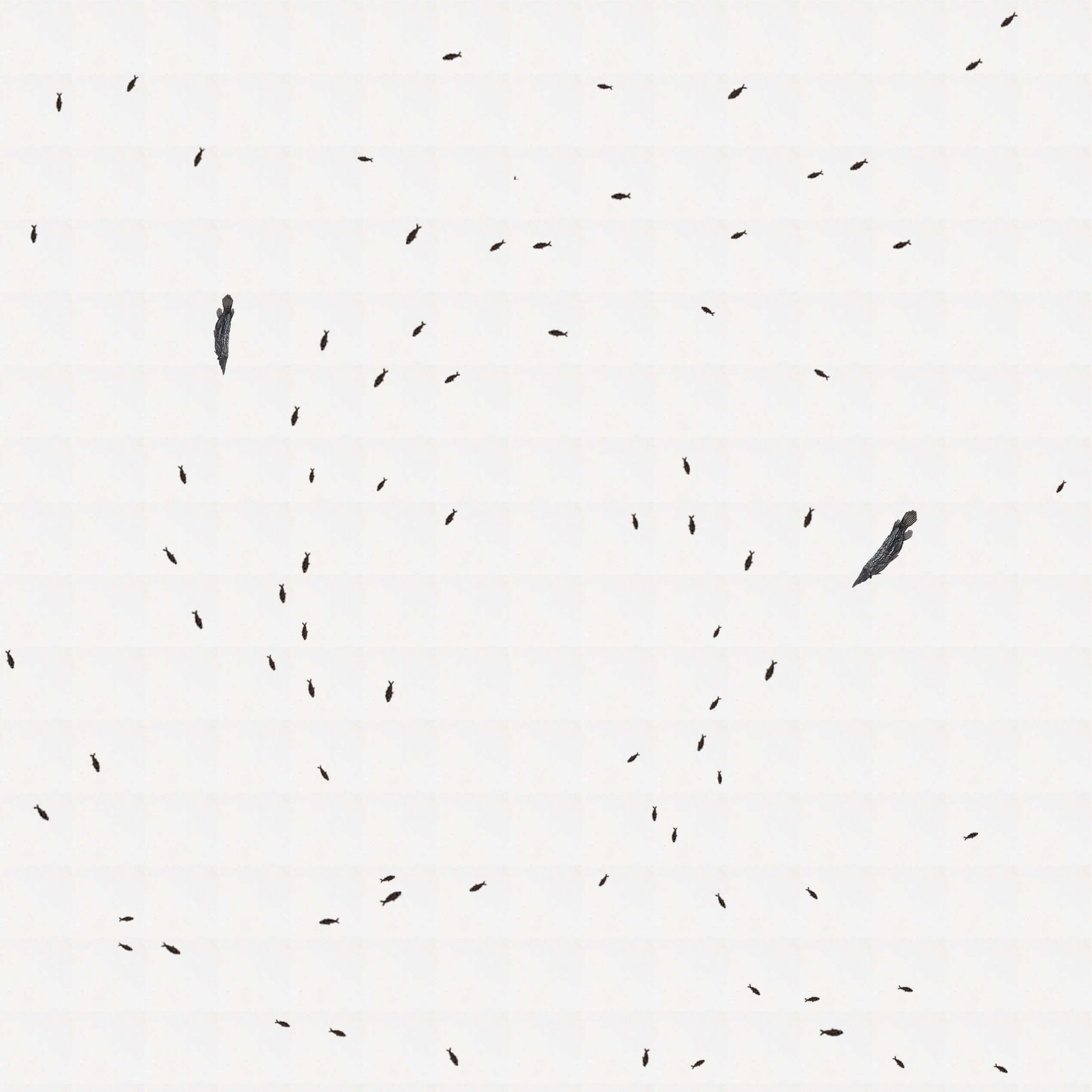 Abstract image of scattered fossil fish tiles on a white background, showcasing intricate detailing.