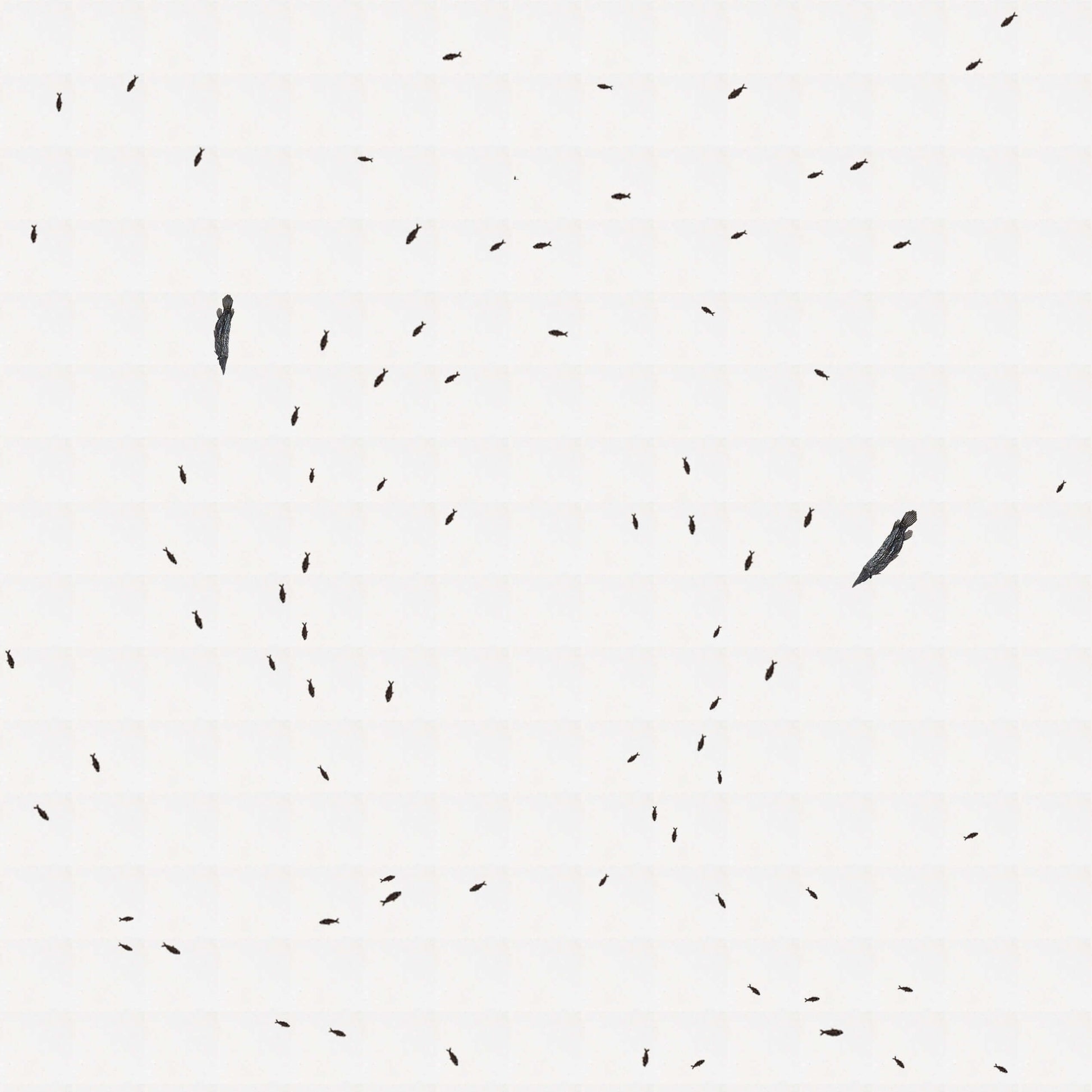 Abstract image of scattered fossil fish tiles on a white background, showcasing intricate detailing.