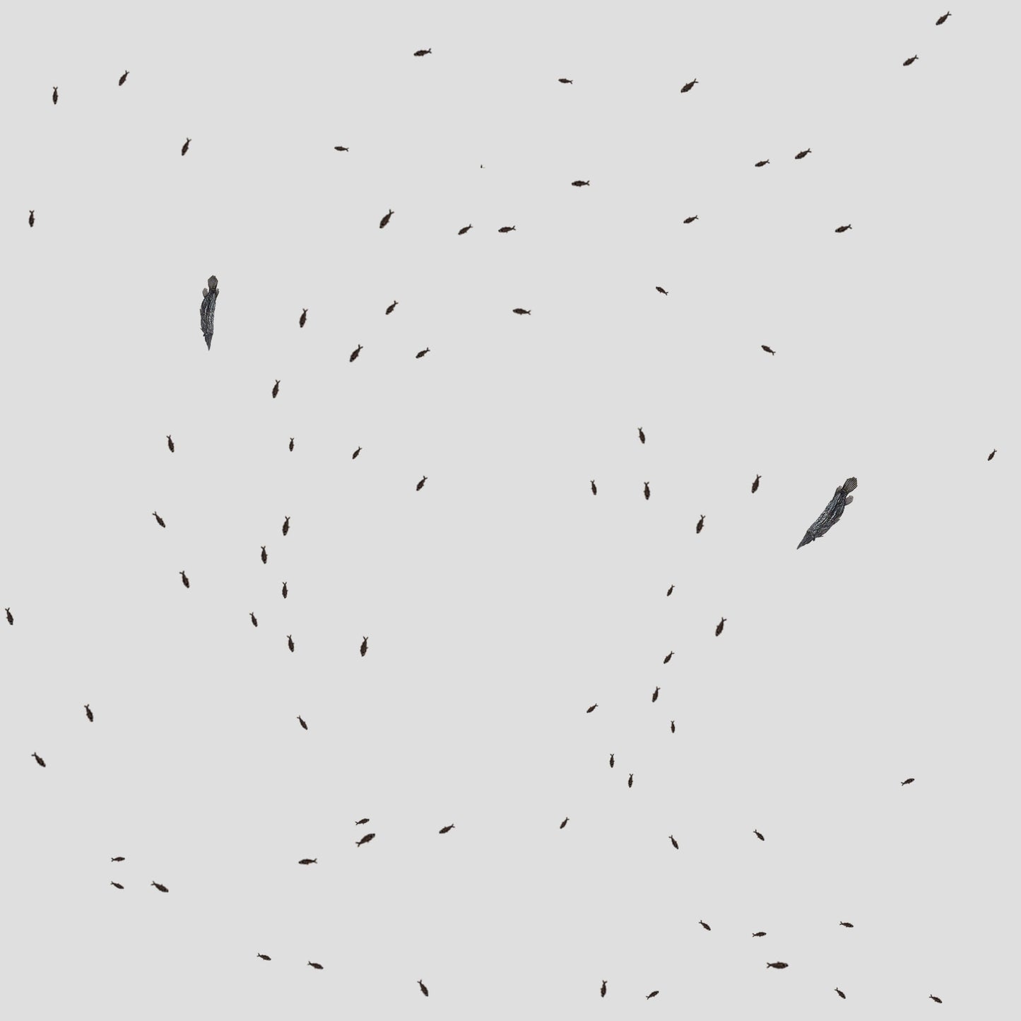 A serene pattern of small black fish swimming amidst a light gray background, creating a tranquil aquatic atmosphere.