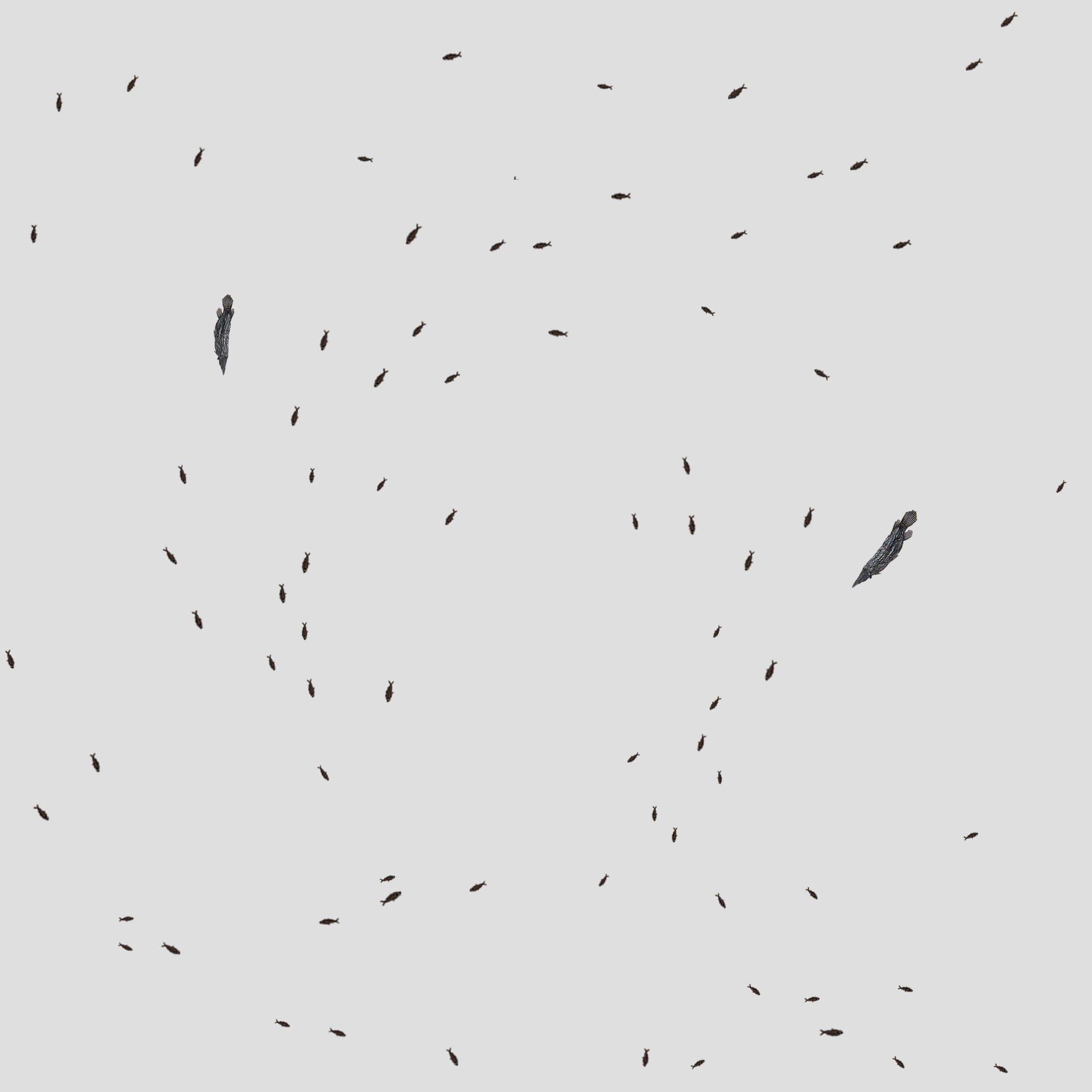A serene pattern of small black fish swimming amidst a light gray background, creating a tranquil aquatic atmosphere.