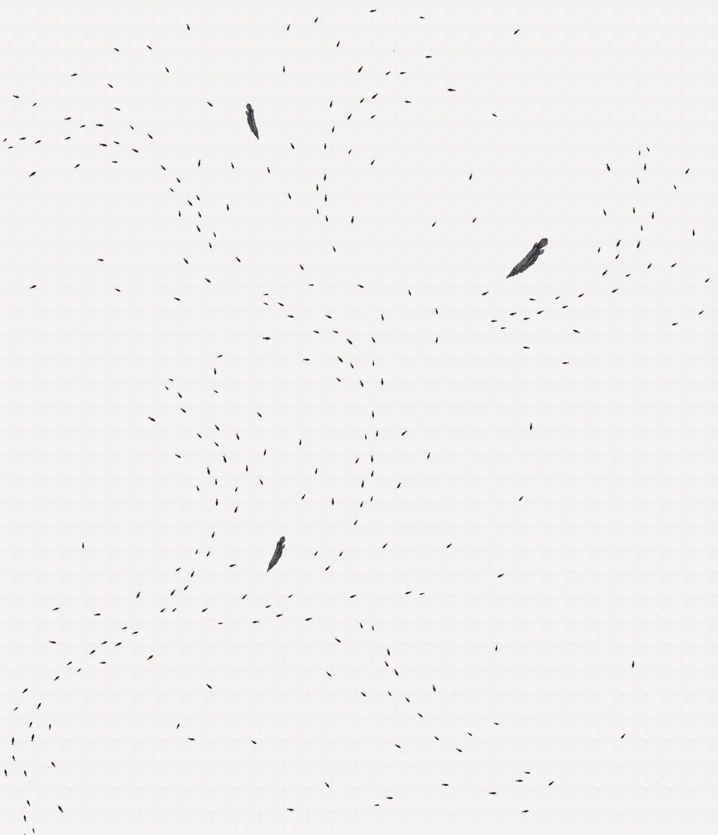 Abstract design featuring black fish silhouettes on a white background, reminiscent of the GARwall© Fossil Fish Tiled Gallery.
