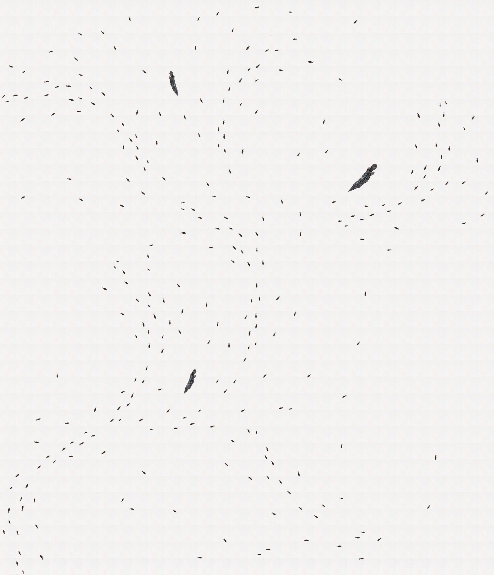 Abstract design featuring black fish silhouettes on a white background, reminiscent of the GARwall© Fossil Fish Tiled Gallery.