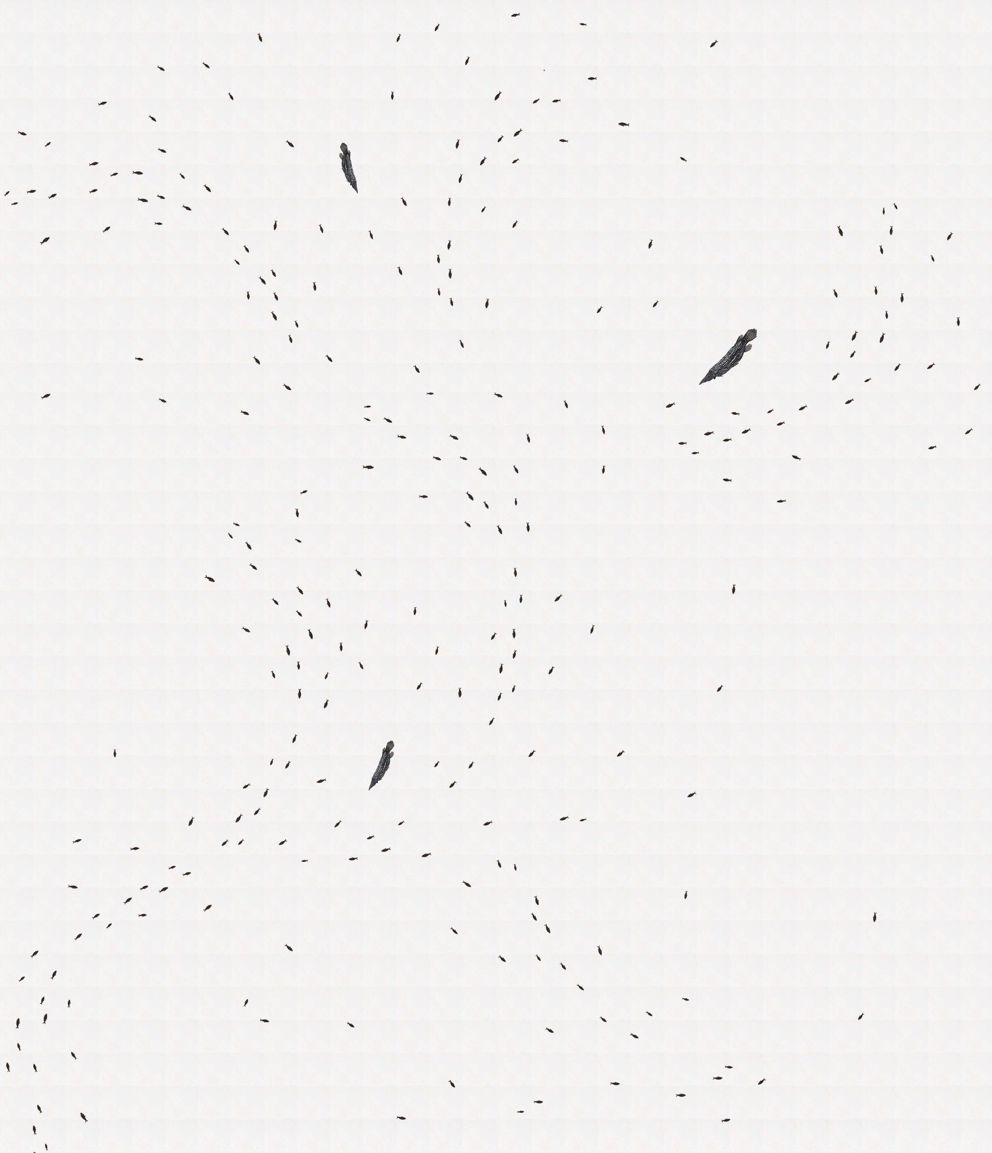 Abstract design featuring black fish silhouettes on a white background, reminiscent of the GARwall© Fossil Fish Tiled Gallery.