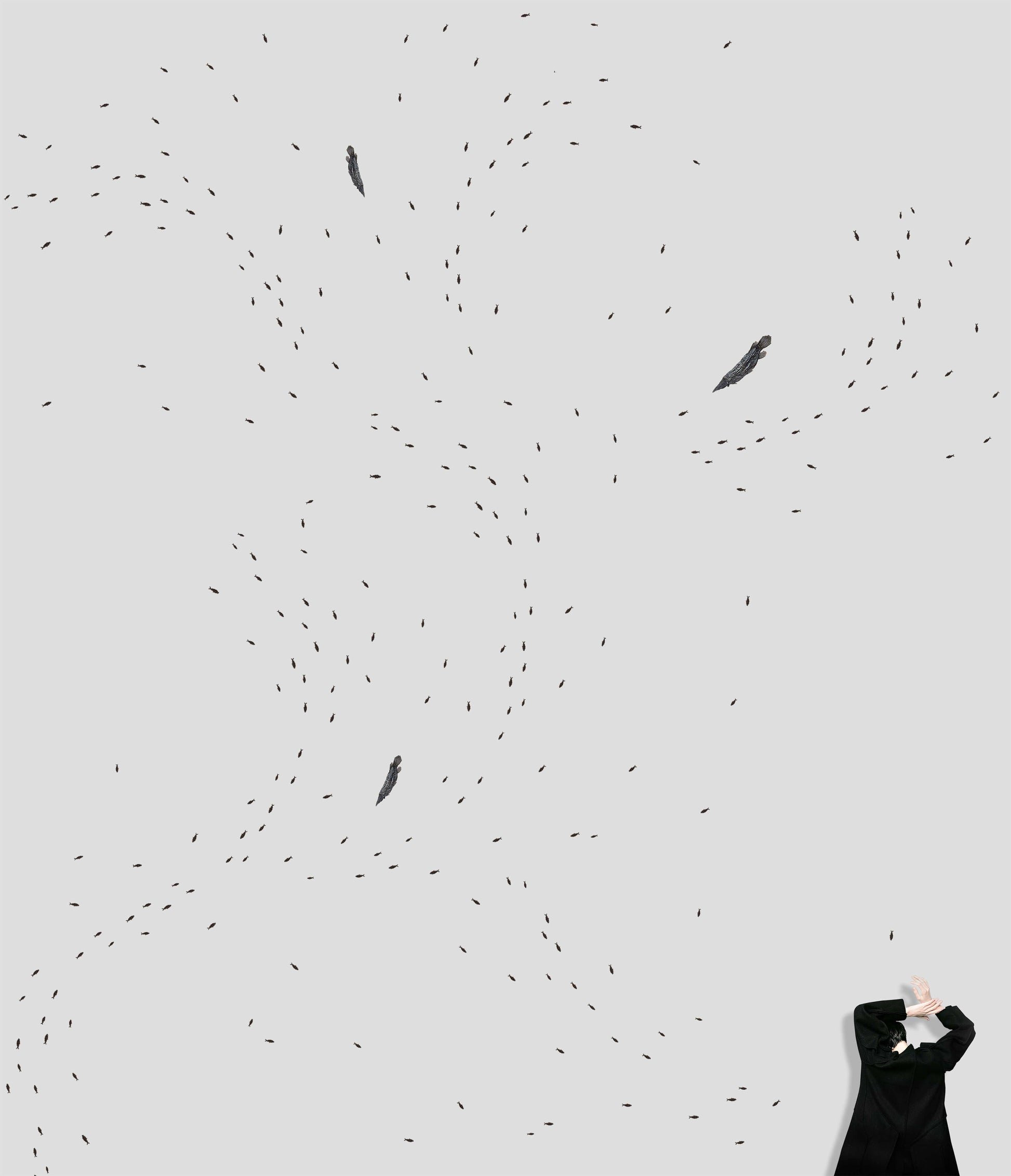 Abstract illustration of flowing lines and shapes resembling fish swimming in a serene aquatic setting.