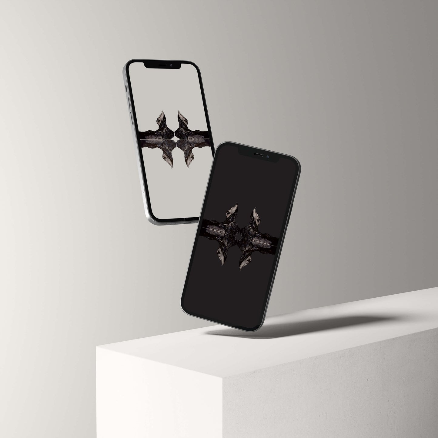 Digital Harpes Trilobite wallpaper showcased on two smartphones, designed for palaeontological enthusiasts.